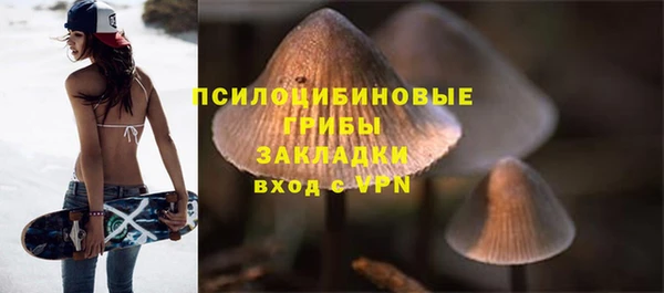 крисы Семёнов
