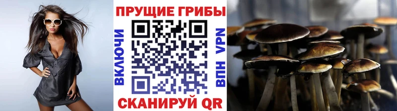 Галлюциногенные грибы MAGIC MUSHROOMS  Суджа 